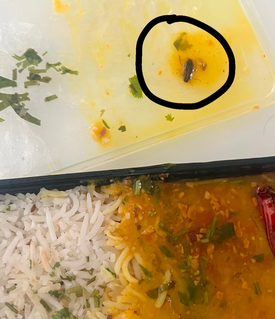 અમદાવાદ: વસ્ત્રાપુરમાં આવેલ ‘અર્બન ખીચડી’ની દાળમાંથી મૃત ‘વંદો’ નીકળ્યો! ગ્રાહકને થયો કડવો અનુભવ