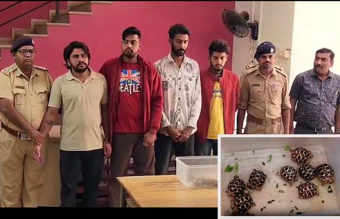 અમદાવાદમાં ઝડપાયું કાચબાની તસ્કરી!