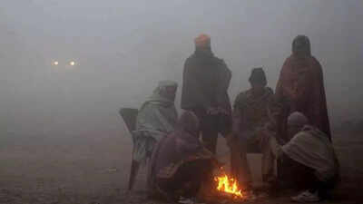 ગુજરાતમાં ઠંડીનો વધ્યો ચમકારો, 10.5 ડિગ્રી સાથે નલિયા બન્યું સૌથી ઠંડુ શહેર