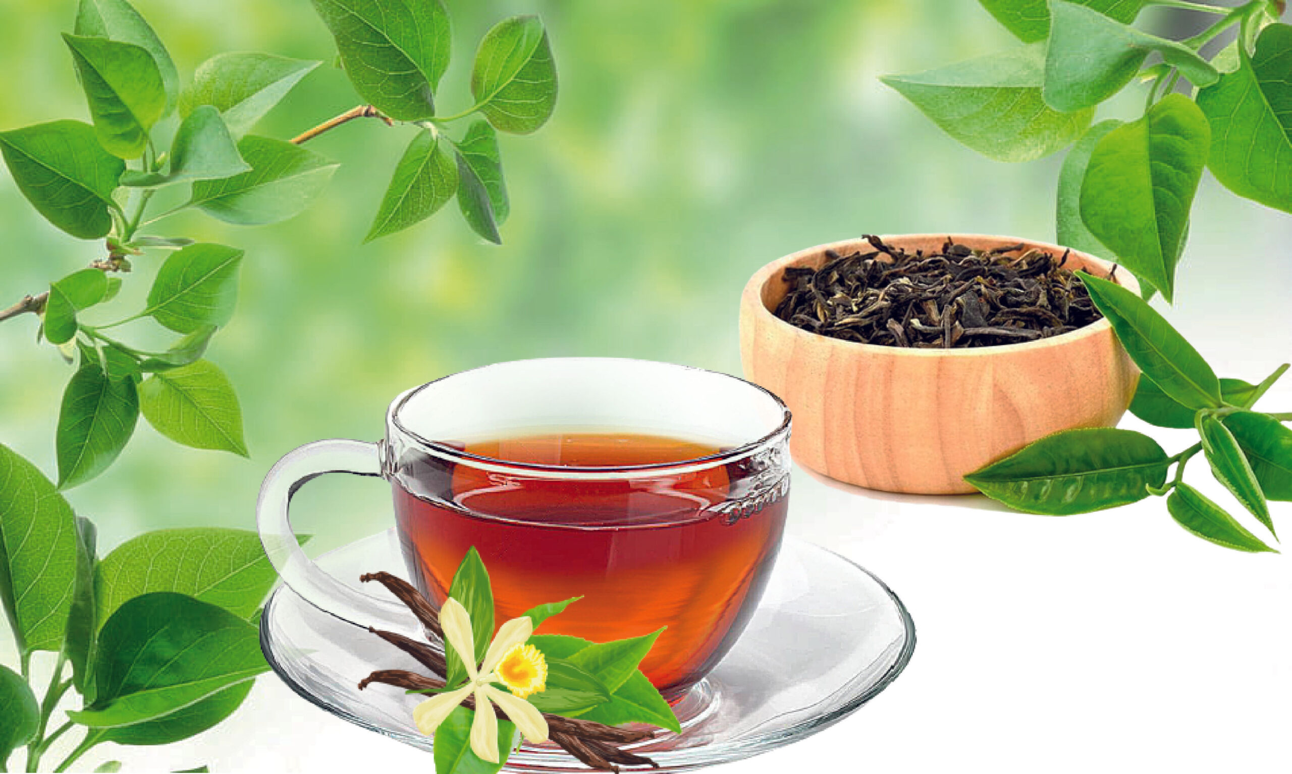 `ગ્રીન ટી’ પીવાનો યોગ્ય સમય કયારનો કહેવાય —?